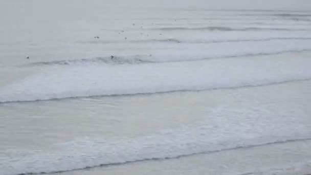 Olas y surfistas en Ventura Point — Vídeo de stock