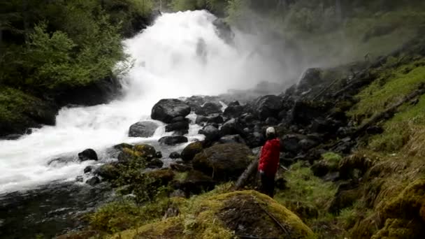 Een toeristische wandelen door het regenwoud — Stockvideo