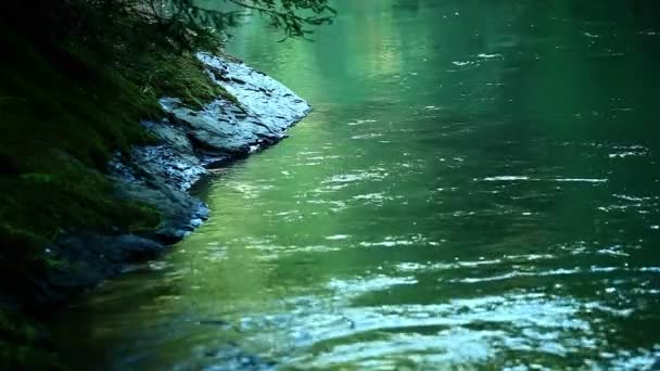 Een rivier stroomt langzaam — Stockvideo