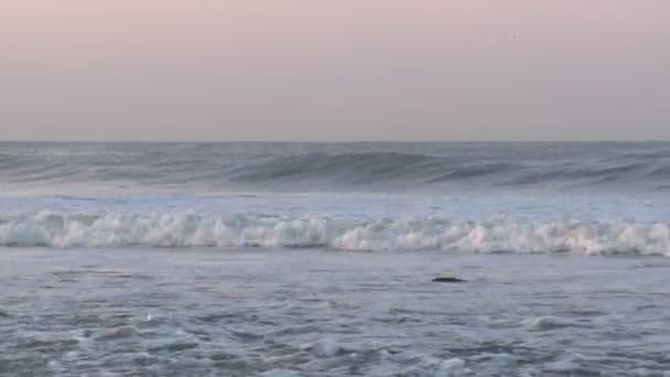 Sörfçü dalgaları yakalamak — Stok video