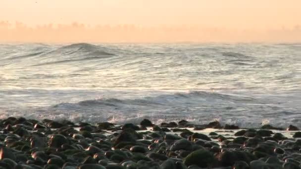 海浪在冲浪点 — 图库视频影像