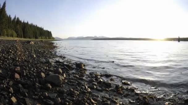 A tengerparton Gustavus visszavonuló dagály — Stock videók