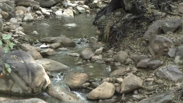 Chute d'eau à Wheeler Springs — Video