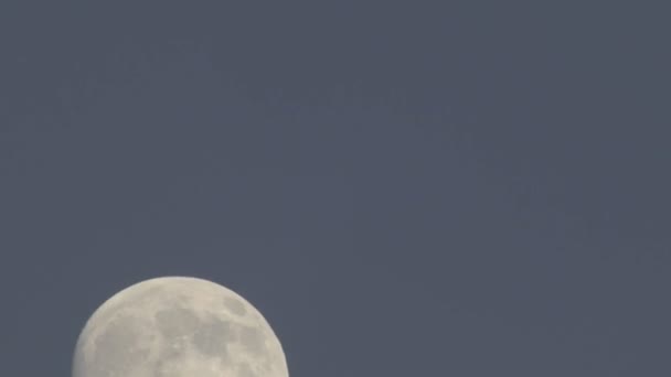 橡树视图上方上升满月 — 图库视频影像