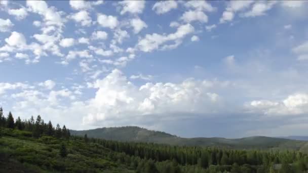 Tahoe National Forest στις Truckee, Καλιφόρνια — Αρχείο Βίντεο