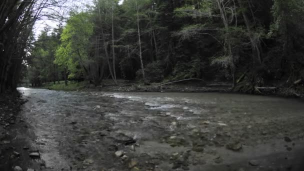 Big Sur річка протягом весни — стокове відео