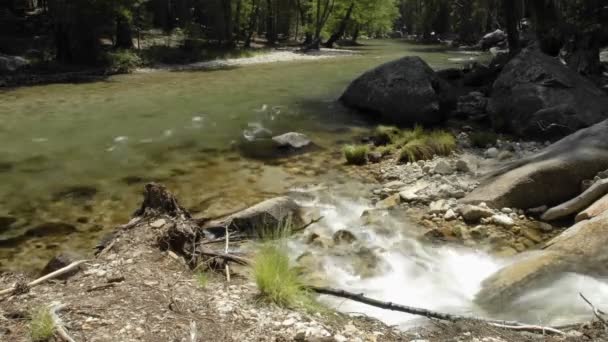 Kings rivier in Kings Canyon Park — Stockvideo