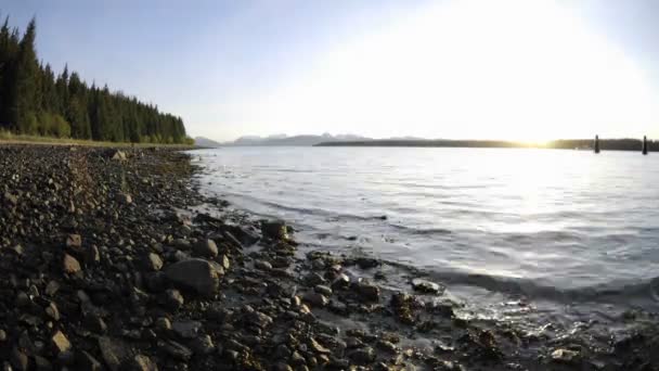 Marea ritirarsi sulla spiaggia di Gustavus — Video Stock