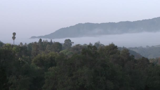 Wolken bij zonsopgang in een Casitas Springs — Stockvideo
