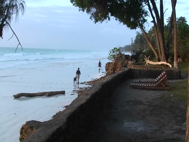 Människor och en hund promenad längs en strand — Stockvideo