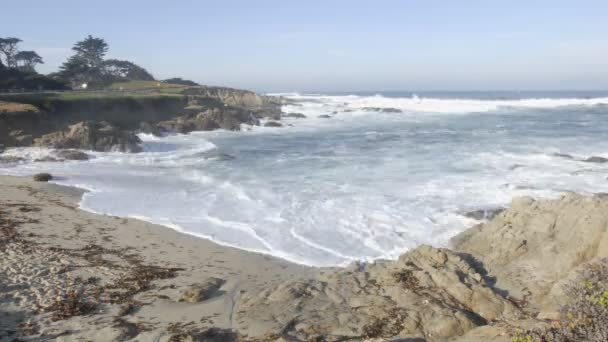 海浪在柏树点 — 图库视频影像
