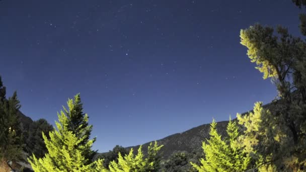 Налаштування місяць над сосновим Гірський клуб — стокове відео