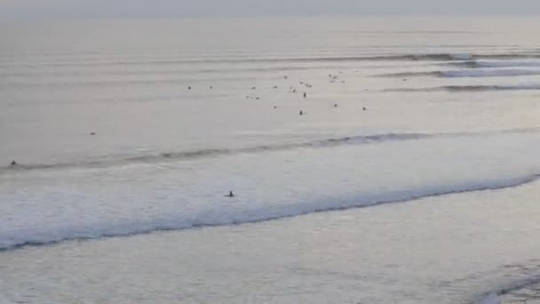 Golven en surfers op Ventura punt — Stockvideo