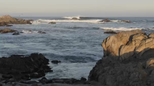 Golven breken op de rotsen — Stockvideo