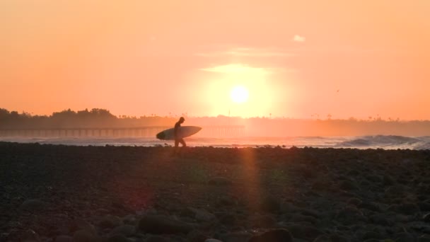 Sylwetka surfer wydostać się z wody — Wideo stockowe