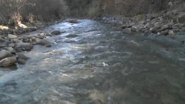 Wasser fließt im Bach San Antonio — Stockvideo