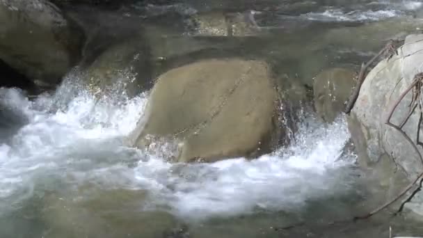 Cascada en la bifurcación norte Matilija Creek — Vídeos de Stock