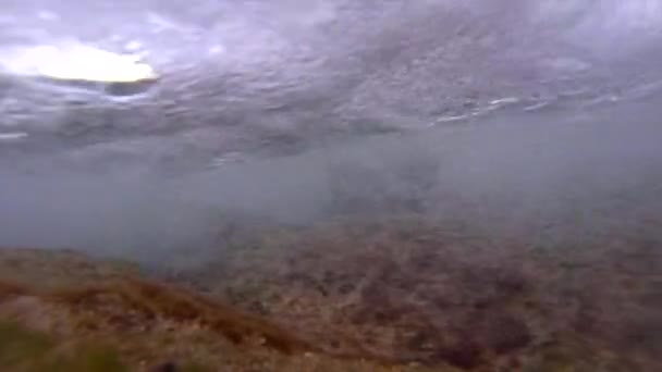 Tirada submarina de olas rodando — Vídeos de Stock