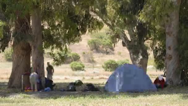 Instalación de tiendas en la isla de Santa Cruz — Vídeos de Stock