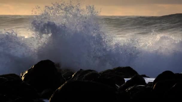 Великі хвилі впадають у пляж — стокове відео