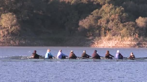 Eight people rowing sweep — Stock Video