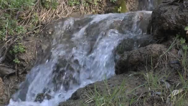 Cascata a Wheeler Springs — Video Stock