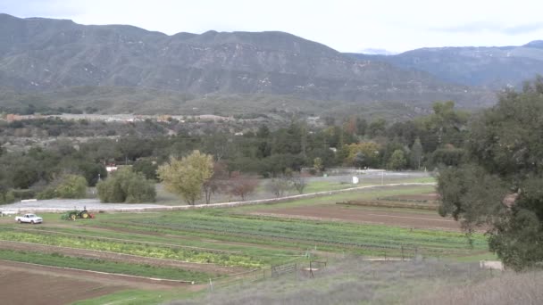 Pan of organic Mano Farms — Stock Video