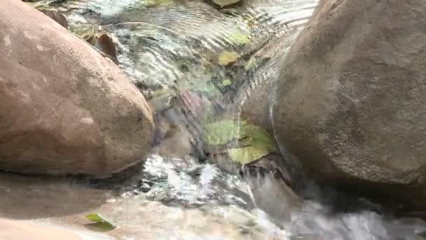 Водоспад в Уілер-Спрінгс — стокове відео