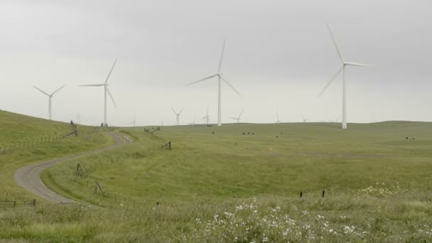Ветряные турбины, генерирующие электричество — стоковое видео