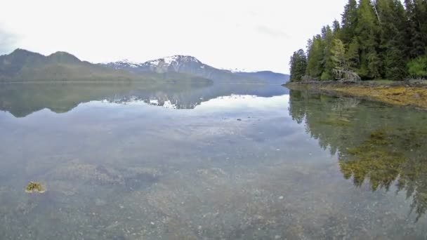 Gezeitenrückgang auf Teichinsel — Stockvideo