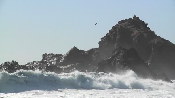 波が岸にロールします。 — ストック動画