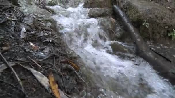 Gros plan d'une petite cascade dans la forêt nationale de Los Padres, au-dessus d'Ojai, en Californie . — Video