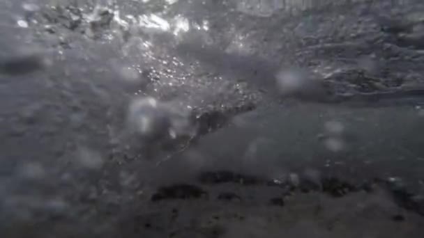 Vue du niveau d'eau des vagues qui s'écrasent — Video