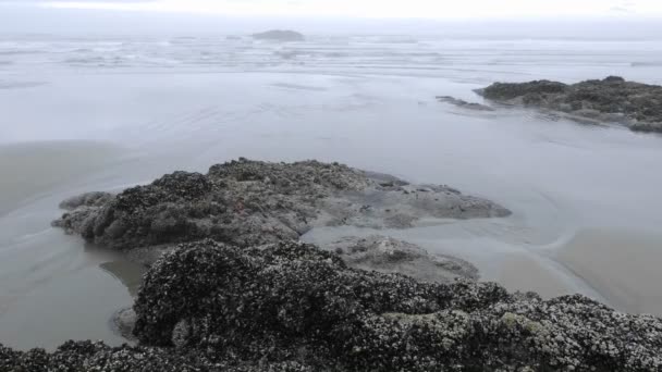 Waves washing on Combers Beach — Stock Video