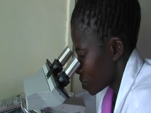 A technician examines a specimen — Stock Video