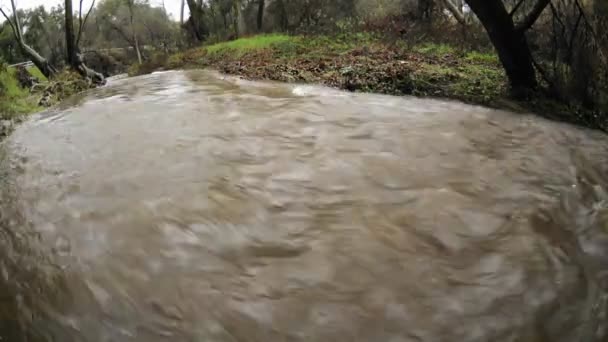 Creek översvämningar under en storm — Stockvideo