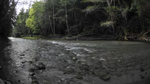 Sol saliendo sobre el río Big Sur — Vídeo de stock