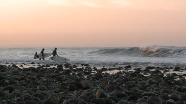 Surfistas remando para as ondas no Surfers Point em Ventura, Califórnia . — Vídeo de Stock