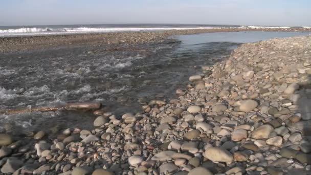 Vatten rinner ut ur floden Ventura — Stockvideo