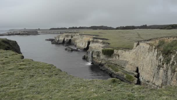 Coastal waterfall and bluffs — Stock Video