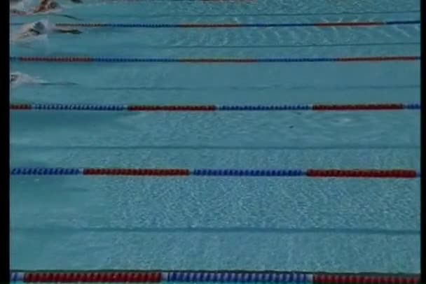 Les nageurs en piscine dans une course — Video