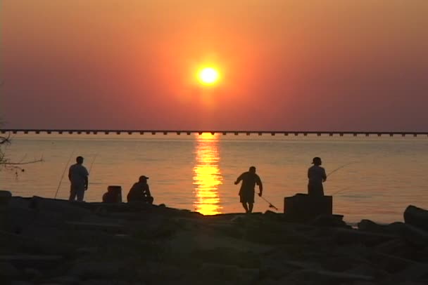 Fishermen catches fish — Stock Video