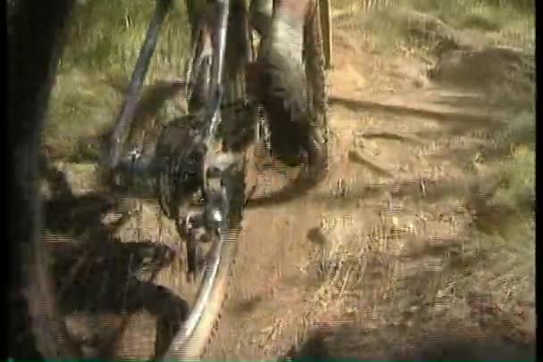 Mountainbikes langs het bospad — Stockvideo