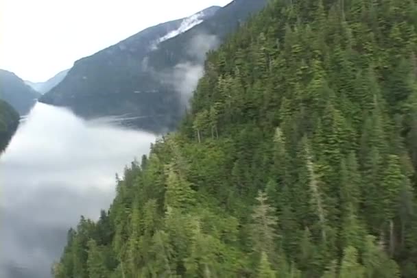 Plane flying over Alaska — Stock Video