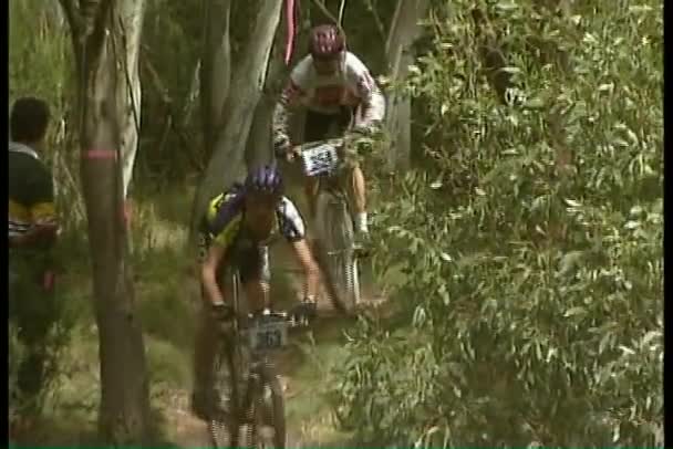 Mountain bike lungo il sentiero forestale — Video Stock