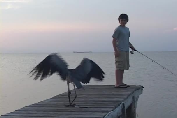 Un niño pesca en el muelle — Vídeos de Stock