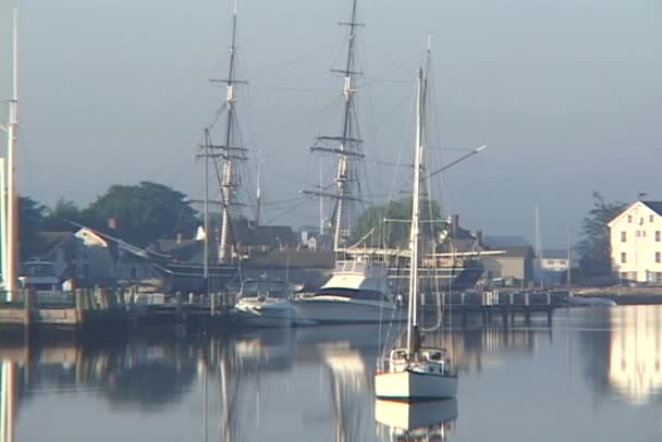 Mehrere angedockte Boote — Stockvideo