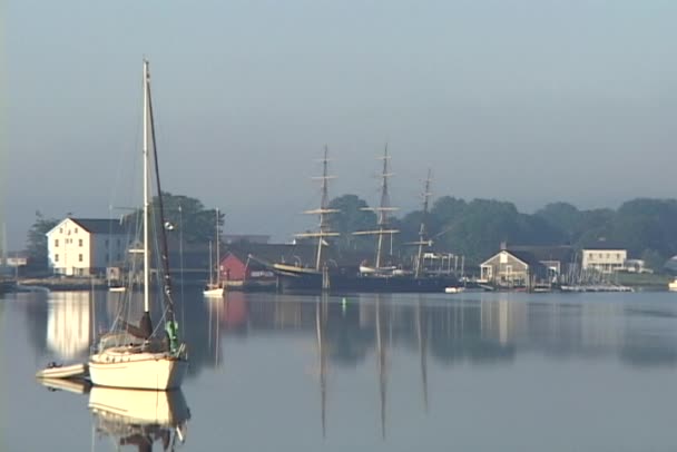 Mehrere angedockte Boote — Stockvideo