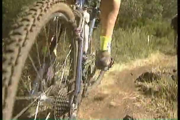 Mountainbikes längs skog spår — Stockvideo