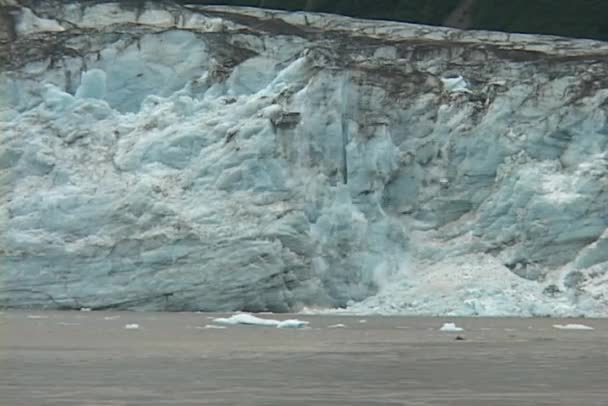 Becerros glaciares en el océano — Vídeo de stock